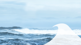 Compensation Institute 2024